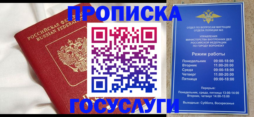 прописка в квартире в Гатчине